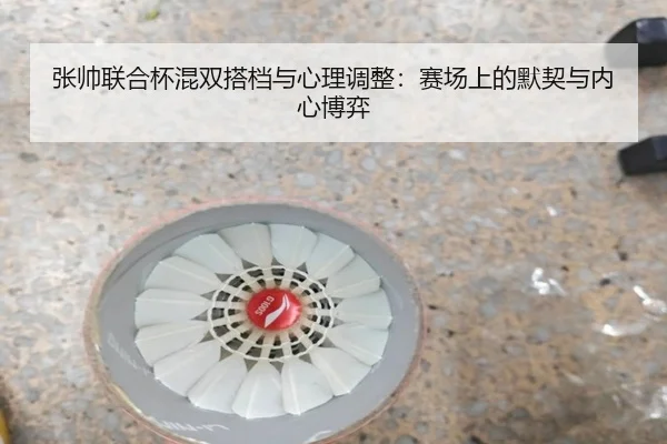 zhang-shuai-lian-he-bei-hun-shuang-da-dang-yu-xin-li-tiao-zheng-sai-chang-shang-de-mo-qi-yu-nei-xin-bo-yi-3-635.jpg