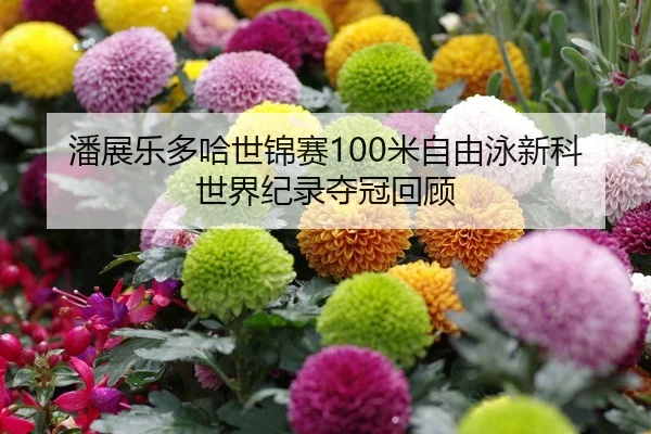 潘展乐多哈世锦赛100米自由泳新科世界纪录夺冠回顾