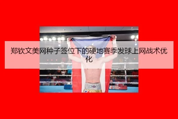 zheng-qin-wen-mei-wang-zhong-zi-qian-wei-xia-de-ying-di-sai-ji-fa-qiu-shang-wang-zhan-shu-you-hua-3-845.jpg