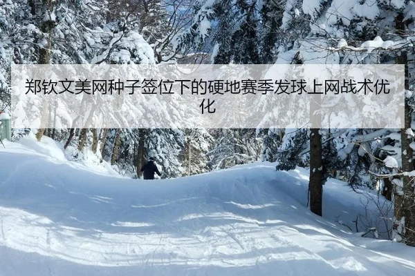 郑钦文美网种子签位下的硬地赛季发球上网战术优化