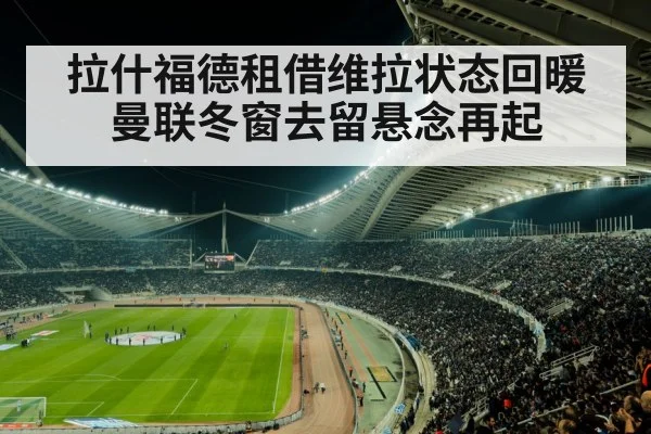 soccer stadium crowd